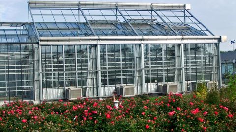 photos : J.LACHURIE